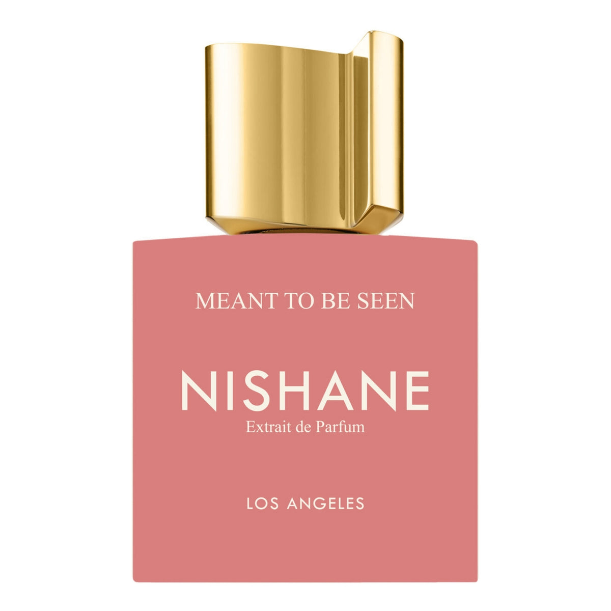 Nishane Meant to Be Seen 3.4 Oz