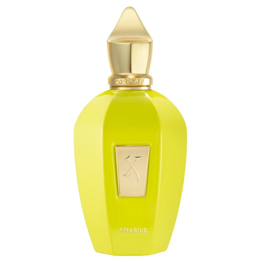 Xerjoff Amabile Eau de Parfum 100 ml